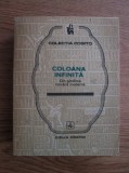 Alexandru Stanciulescu Birda - Coloana infinita. Din gandirea romana moderna