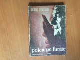 b1d Polca pe furate - Mihail Celarianu