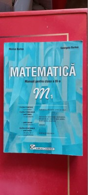 MATEMATICA CLASA A XI A , M1 - GEORGETA BURTEA STARE FOARTE BUNA foto