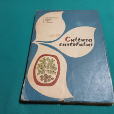 CULTURA CARTOFULUI * ECATERINA CONSTANTINESSCU / 1965 *