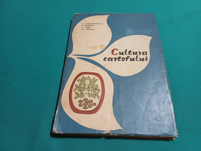 CULTURA CARTOFULUI * ECATERINA CONSTANTINESSCU / 1965 *