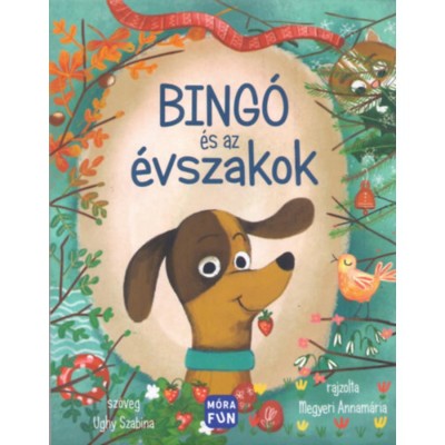 Bing&amp;oacute; &amp;eacute;s az &amp;eacute;vszakok - Ughy Szabina foto