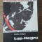 LUP-NEGRU-KAREL FABIAN-262007