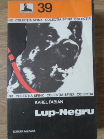 LUP-NEGRU-KAREL FABIAN-262007