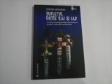 SUFLETUL INTRE RAI SI IAD - Costion NICOLESCU