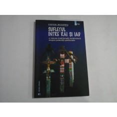 SUFLETUL INTRE RAI SI IAD - Costion NICOLESCU
