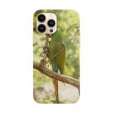 Husa compatibila cu Apple iPhone 14 Plus model Macaw snack, Silicon, TPU, Viceversa, Transparent, Carcasa