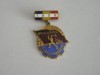 QW9 L 2 - Insigna - tematica comunism - Brigadier al muncii patriotice - 1959, Romania de la 1950