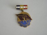 QW9 L 2 - Insigna - tematica comunism - Brigadier al muncii patriotice - 1959, Romania de la 1950