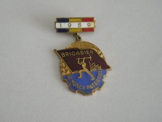 QW9 L 2 - Insigna - tematica comunism - Brigadier al muncii patriotice - 1959