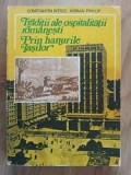 Traditii ale ospitalitatii romanesti. Prin hanurile Iasilor- Constantin Botez, Adrian Pricop