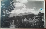 Carte postala, Predeal, vedere spre Bucegi, perioada interbelica