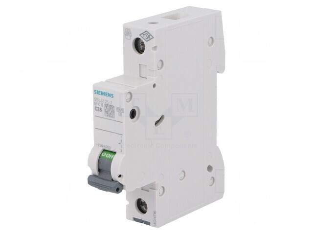 &Icirc;ntrerupător de supracurent 25A 1P 230V C