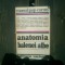 Anatomia balenei albe - Marcel Pop-Cornis