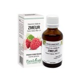 Extract din mladite de Zmeur, 50 ml, Plant Extrakt, Plantextrakt