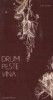 Drum peste vina