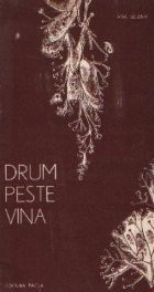 Drum peste vina - poezii foto