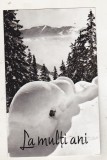 bnk cp Felicitare - Peisaj de iarna - circulata