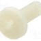 Surub M4, poliamida, lungime 10mm, cap rotund, pas filet 0.7, DREMEC - 8G205M4X10