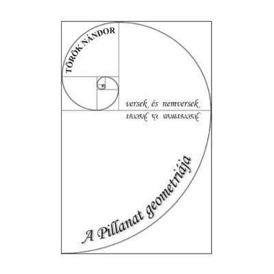 A Pillanat geometri&amp;aacute;ja. Versek &amp;eacute;s nemversek - T&amp;ouml;r&amp;ouml;k N&amp;aacute;ndor foto