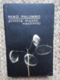 Nino Palumbo &ndash; Printre muntii neclintiti, Didactica si Pedagogica