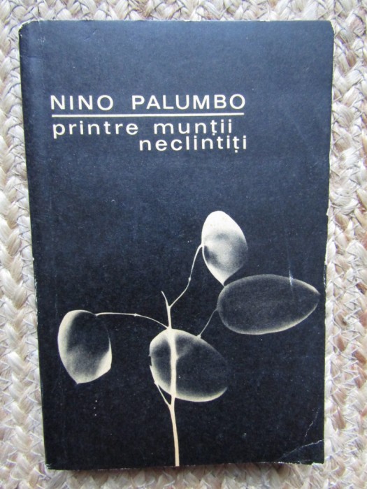 Nino Palumbo &ndash; Printre muntii neclintiti