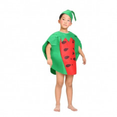 Costum fruct Pepene, IdeallStore®, verde, marime universala