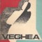 Veghea - Dan Plaesu