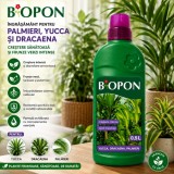 Cumpara ieftin BIOPON Ingrasamant Lichid pentru Palmieri, Yucca, Dracaena - 0.5 L