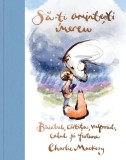 Să-ți amintești mereu. Băiatul, c&acirc;rtița, vulpoiul, calul și furtuna - Hardcover - Grafic Art