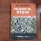 Pamantul negru de Victor Iancu