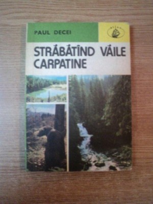 STRABATAND VAILE CARPATINE de PAUL DECEI foto
