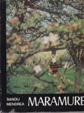 Sandu Mendrea - Maramures