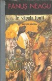 In vapaia lunii - Fanus Neagu