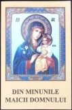 DIN MINUNILE MAICII DOMNULUI-AGAPIE-354755