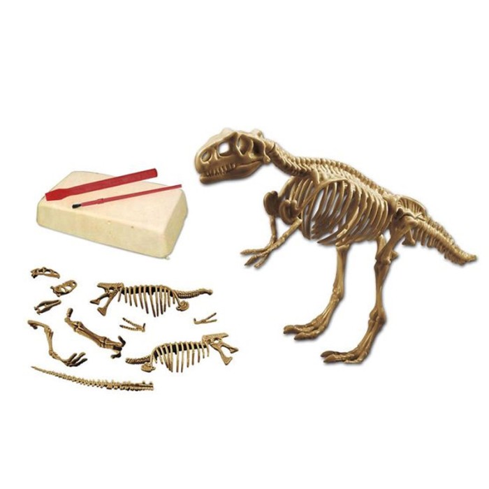 Set de excavare fosile Dinozaur, dalta, perie si piatra ipsos, ATU-086538