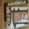 b1c Santierul - Tudor Baran