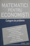 Matematici pentru economisti