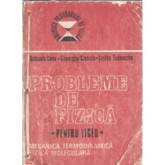 Probleme de Fizica pentru liceu. Mecanica, termodinamica, fizica moleculara - Gabriela Cone