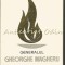 Generalul Gheorghe Magheru - Marin Mihalache