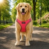 Ham pentru caini, Mesh, Corai Neon, Talie Mare (L-XL), CMCLASS
