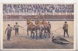 Bnk cp Corrida de toros - El arrastre - necirculata, Spania, Printata