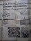 Foto  - 4