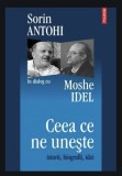 Ceea ce ne uneste: istorii, biografii, idei: S. Antohi &icirc;n dialog cu Moshe Idel, Polirom