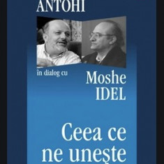 Ceea ce ne uneste: istorii, biografii, idei: S. Antohi în dialog cu Moshe Idel