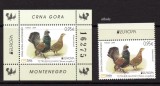 MUNTENEGRU 2019, EUROPA CEPT, Fauna, Pasari, serie neuzata, MNH