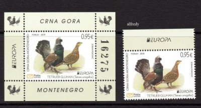MUNTENEGRU 2019, EUROPA CEPT, Fauna, Pasari, serie neuzata, MNH foto