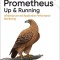 Prometheus: Up &amp; Running: Infrastructure and Application Performance Monitoring