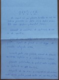 Manuscris Geo Bogza, Martisor, 4 pagini