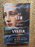 Ce știe doar v&acirc;ntul - Amy Harmon, Bookzone, Roman de dragoste, 453 pagini, ediție 2021